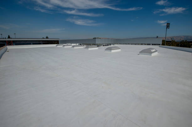 Best Storm Damage Roof Repair  in Centreville, MI