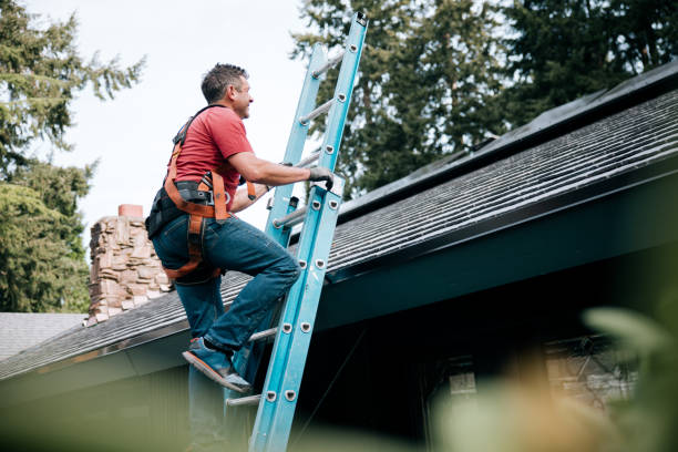 Best Slate Roofing  in Centreville, MI